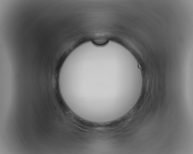 X0000114170595200910081115