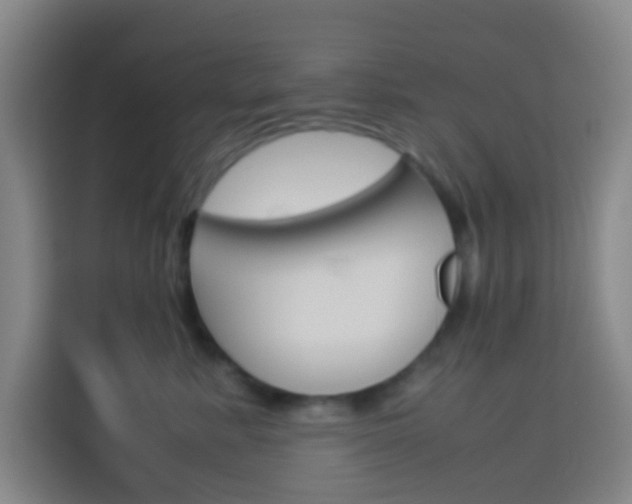 X0000114170619200910081114