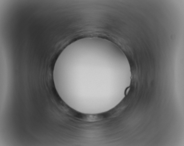 X0000114170623200910081114