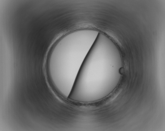 X0000114170630200910081114