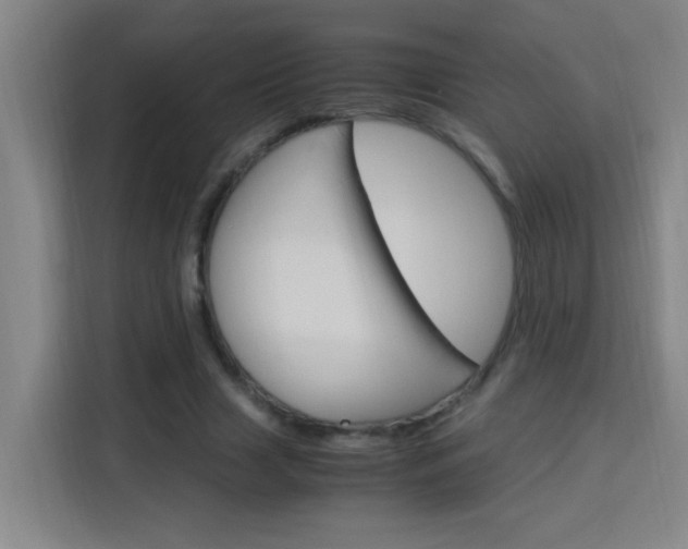 X0000114170633200910081114
