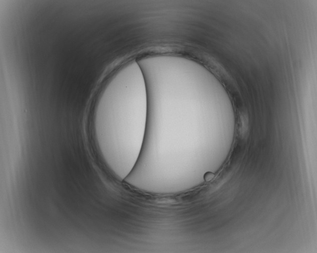 X0000114170636200910081114