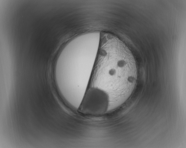 X0000114170638200910081114