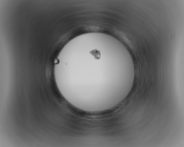 X0000114170645200910081114