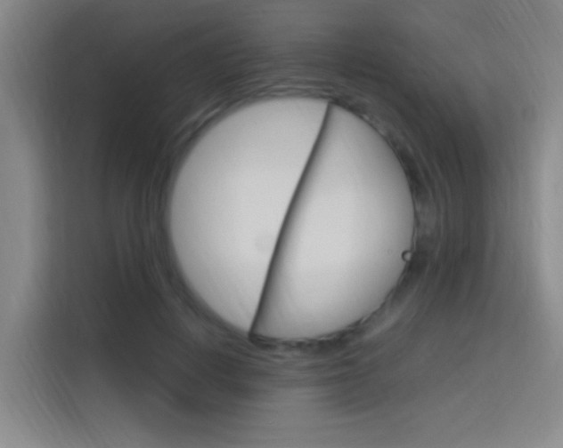 X0000114170648200910081114