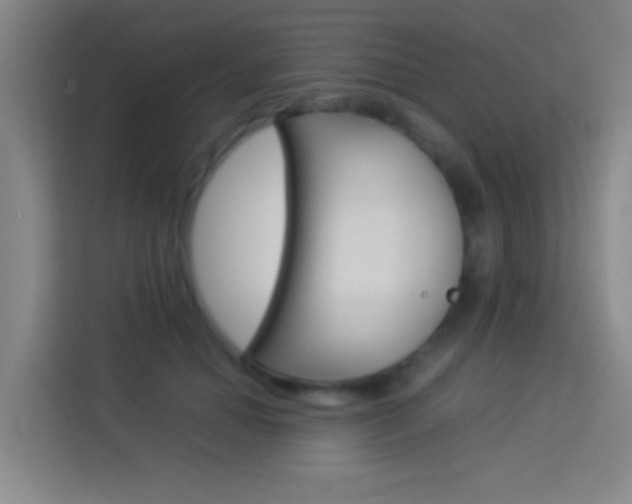 X0000114170654200910081114