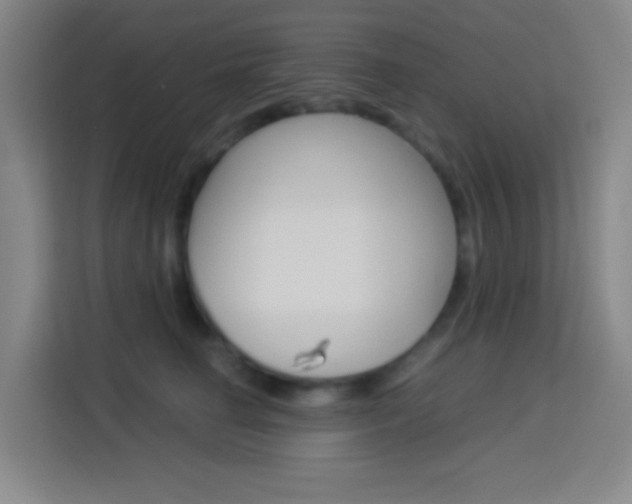 X0000114170662200910081114