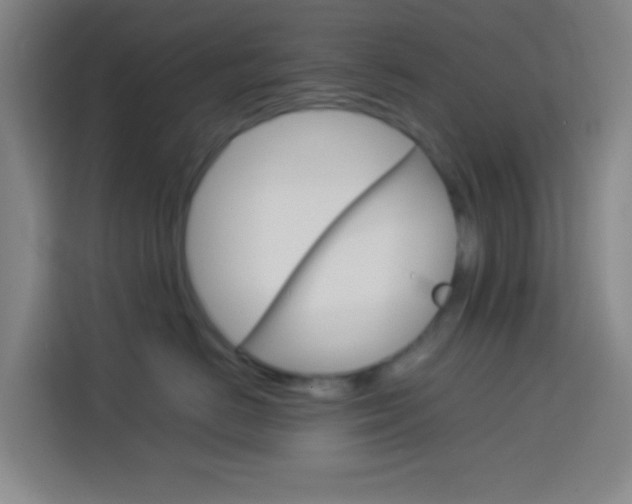 X0000114170670200910081114