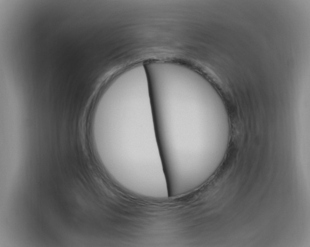 X0000114170679200910081114