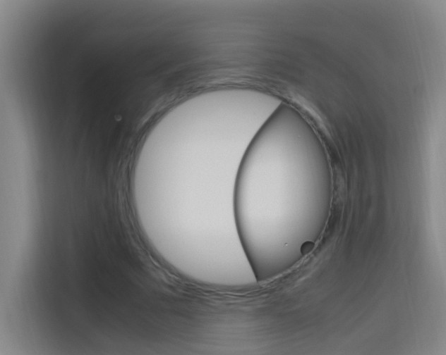 X0000114170681200910081114