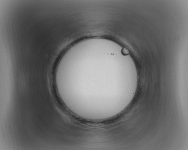 X0000114170683200910081114