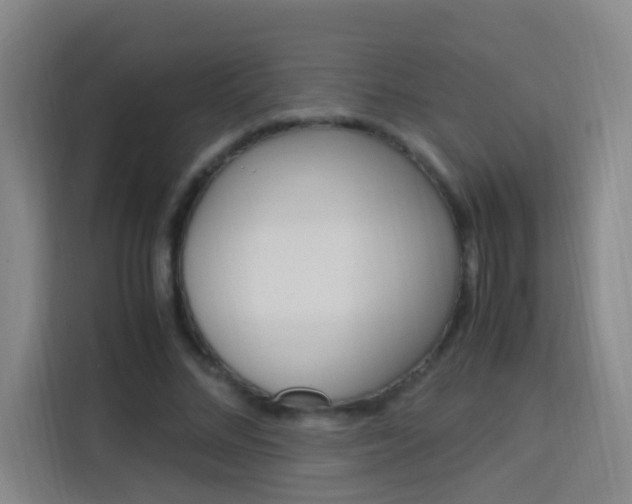 X0000114170684200910081114