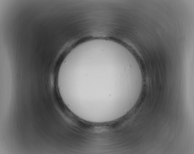 X0000114170686200910081114