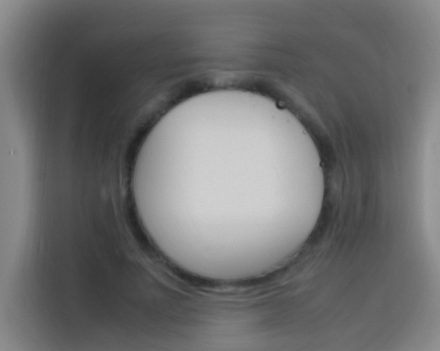 X0000114170691200910081114