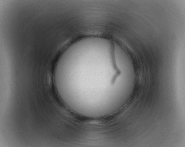 X0000114170692200910081113