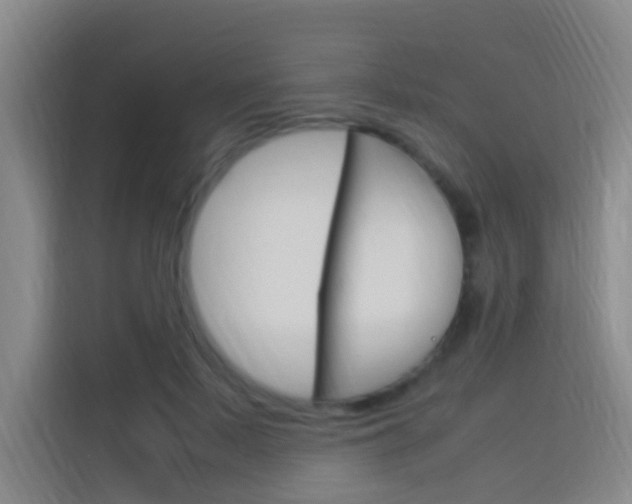 X0000114170695200910081113