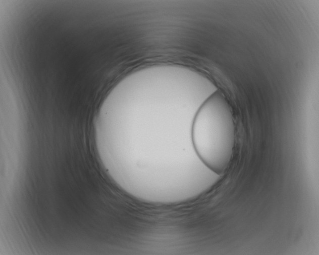 X0000114170697200910081113