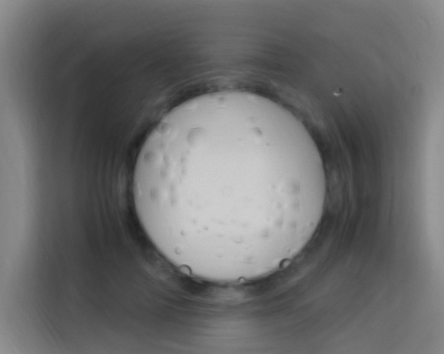 X0000114170698200910081113