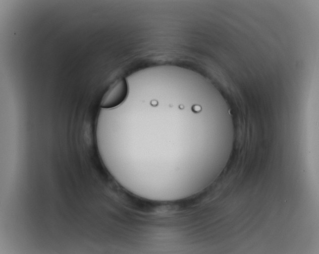 X0000114170700200910081113