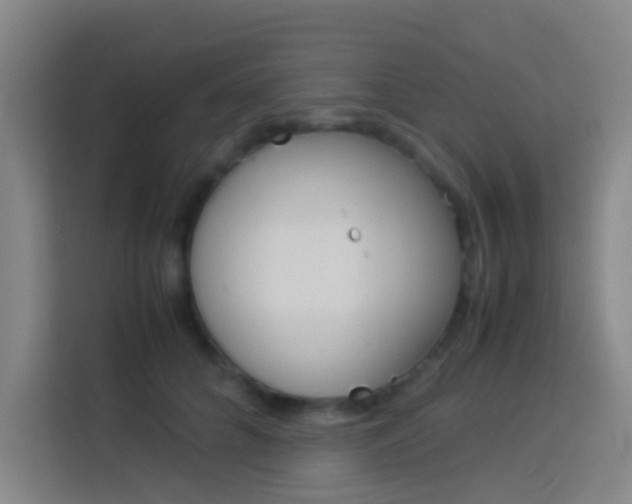 X0000114170704200910081113