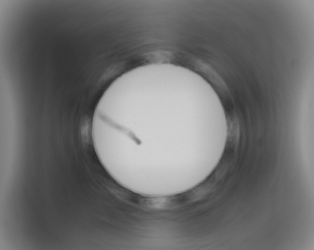 X0000114170717200910081113