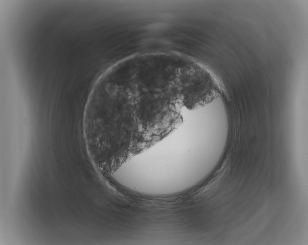 X0000114170721200910081113