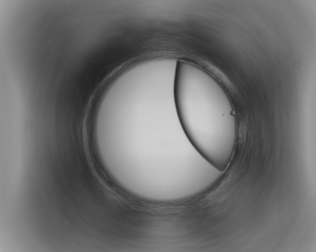 X0000114170722200910081113