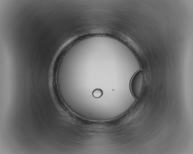 X0000114170724200910081113