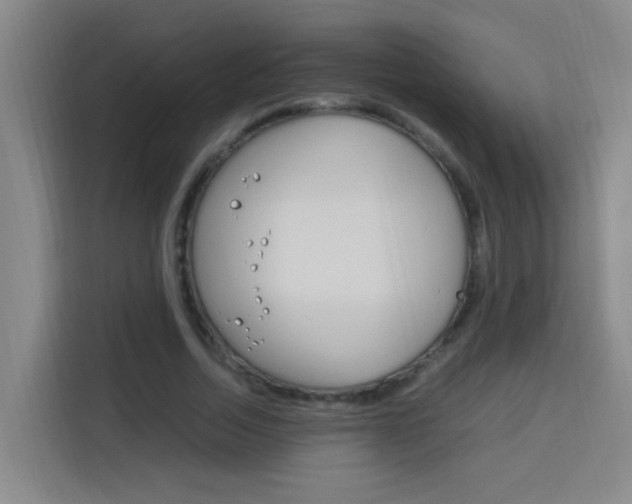 X0000114170730200910081113