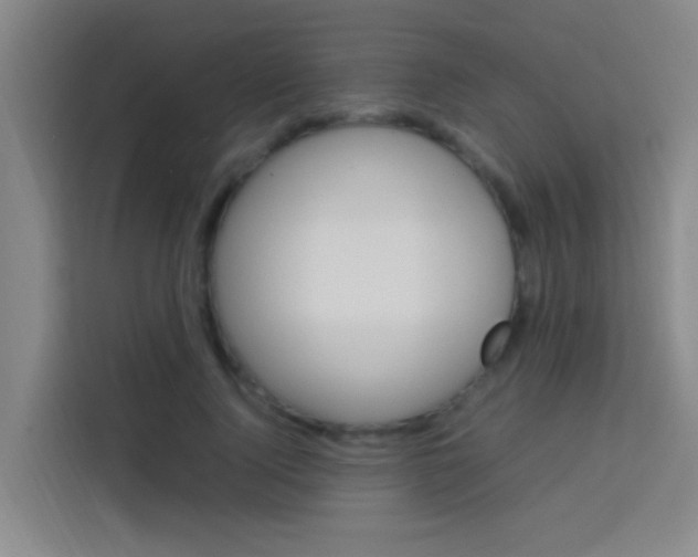 X0000114170740200910081113