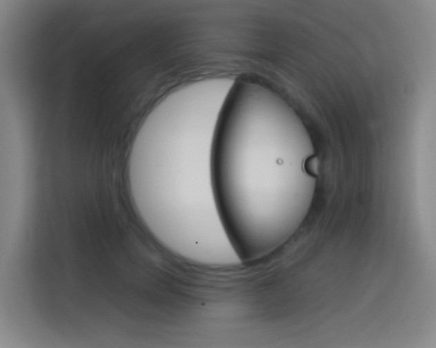 X0000114170750200910081113