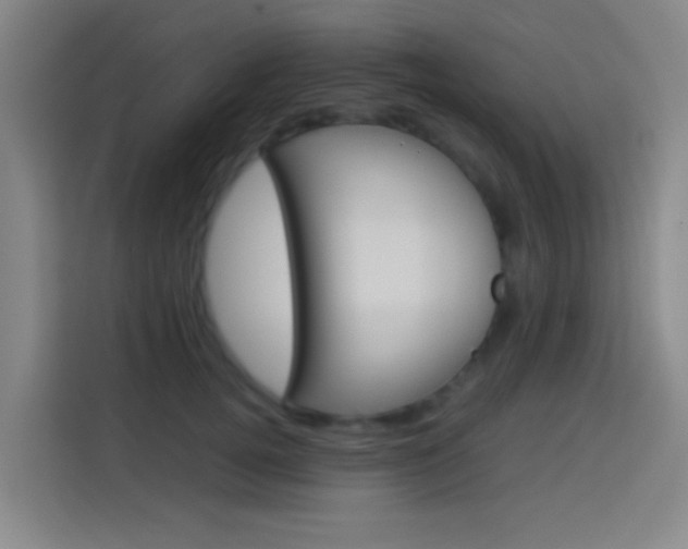 X0000114170752200910081113