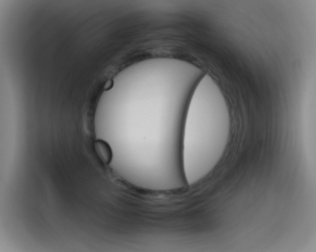 X0000114170755200910081113