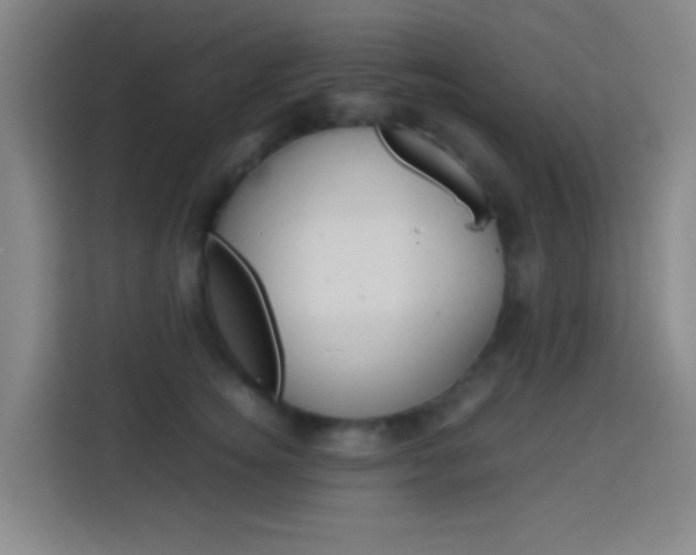 X0000114170756200910081113