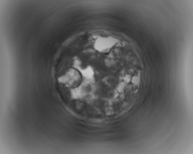 X0000114170757200910081113