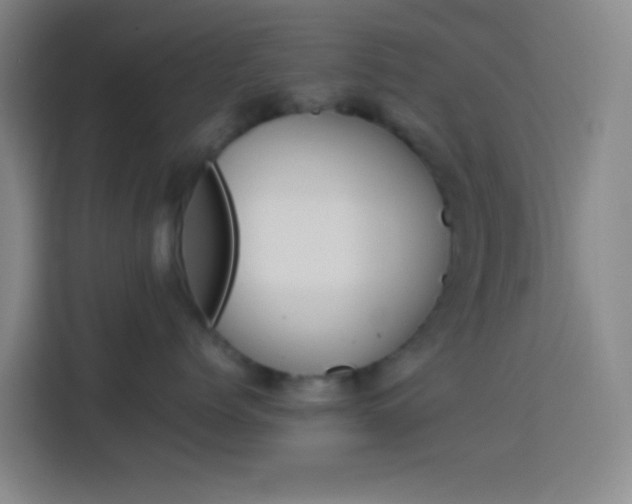 X0000114170768200910081113