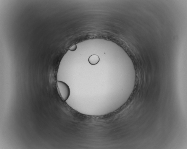 X0000114170770200910081112