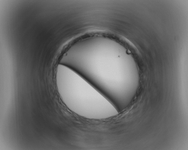 X0000114170775200910081112