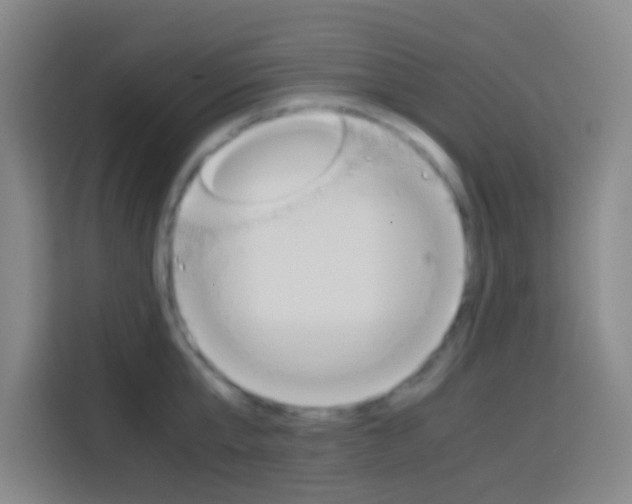 X0000114170807200910081112