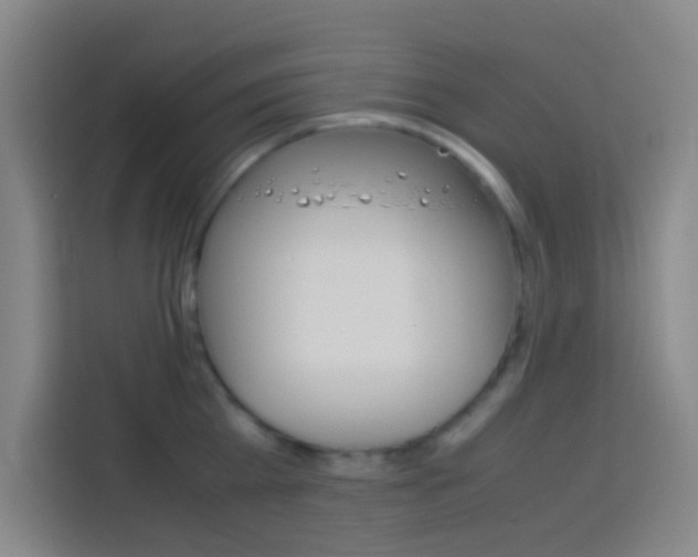 X0000114170809200910081112