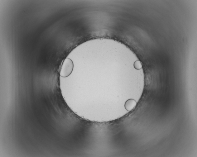 X0000114170820200910081111