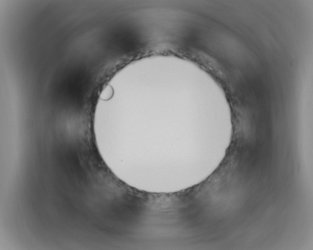 X0000114170824200910081111