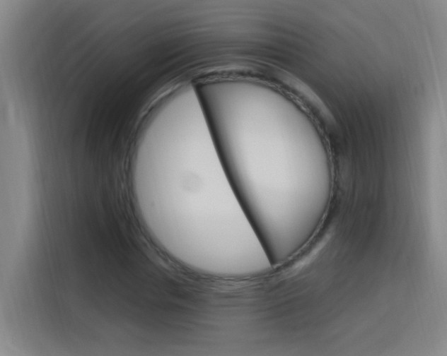 X0000114170826200910081111