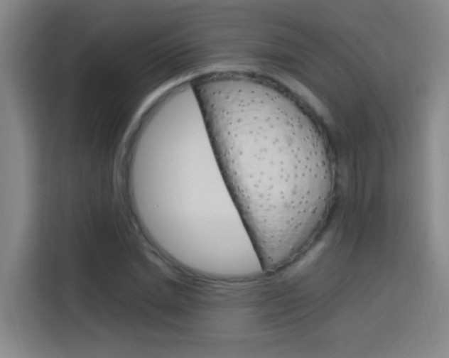 X0000114170830200910081111