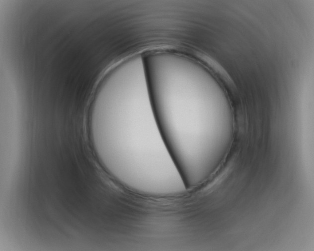 X0000114170834200910081111