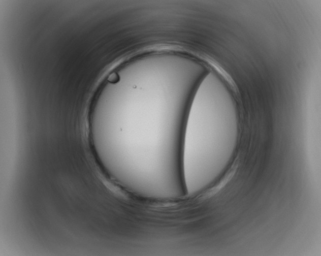 X0000114170837200910081112