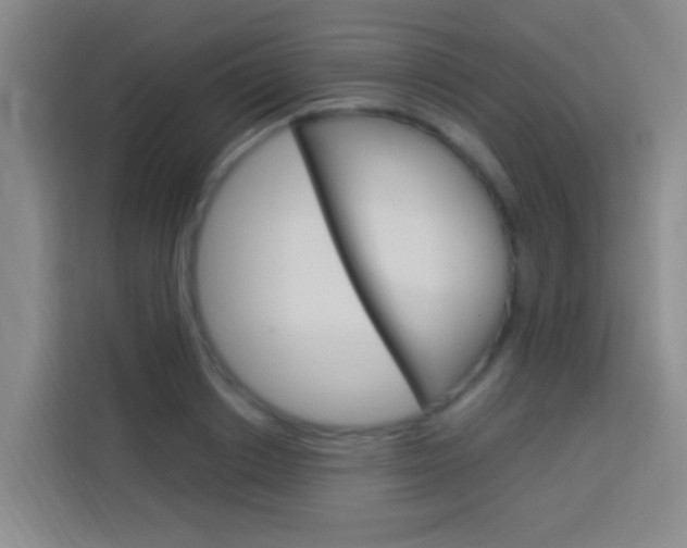 X0000114170842200910081112
