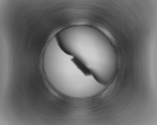 X0000114170850200910081112