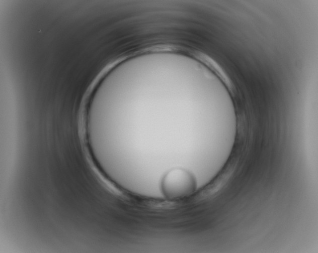 X0000114170851200910081112