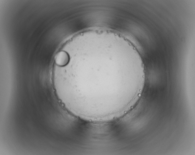 X0000114170856200910081112